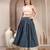 Blue floral printed cotton flared maxi skirt for women