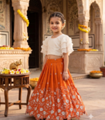 Kids girls embroidered work georgette lehenga choli set