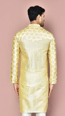 Fawn dupion art silk  kurta with  computerised embroidery machine work 3