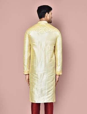 Fawn dupion art silk kurta with  computerised embroidery machine work 3