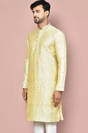 Fawn dupion art silk kurta with  computerised embroidery machine work