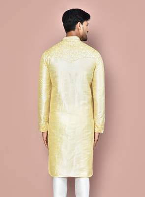 Fawn dupion art silk kurta with  computerised embroidery machine work 4