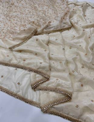 Cream satin embroidered saree with sequins work 3