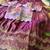 Kids girls festive wear position embroidered work lehenga choli set