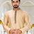 Fawn dupion art silk  kurta with patten work&hand work