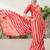 Red color modern pre-stitched  semi modal saree with unstitched designer blouse