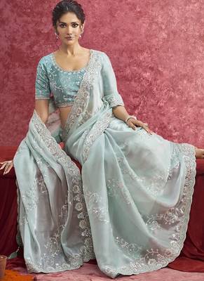 Sky blue galaxy heavy designer sequins  & cut work border saree 2