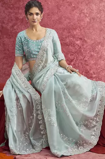 Sky blue galaxy heavy designer sequins  & cut work border saree
