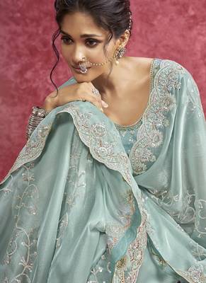 Sky blue galaxy heavy designer sequins  & cut work border saree 3