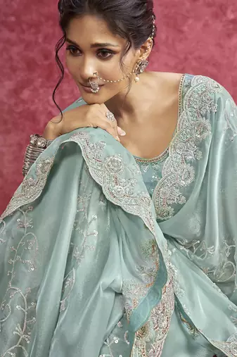 Sky blue galaxy heavy designer sequins  & cut work border saree