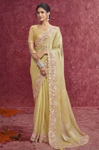 Golden galaxy heavy designer sequins  & cut work border saree