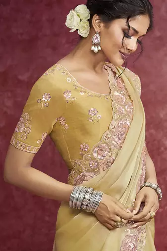 Golden galaxy heavy designer sequins  & cut work border saree