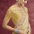 Golden galaxy heavy designer sequins  & cut work border saree