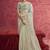 Pista pure weave heavy designer sequins  & cut work border saree