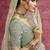 Pista pure weave heavy designer sequins  & cut work border saree
