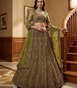 olive net embroidered lehenga choli
