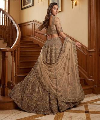 beige net embroidered lehenga choli 2
