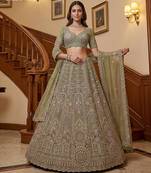 light parrot green net embroidered lehenga choli
