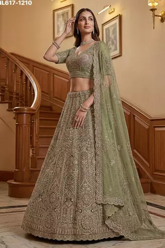 light parrot green net embroidered lehenga choli