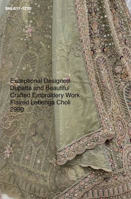 light parrot green net embroidered lehenga choli 4