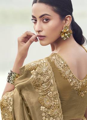 Chiku pure banarasi silk with designer blouse wedding wear saree 2