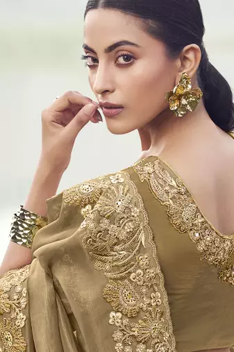 Chiku pure banarasi silk with designer blouse wedding wear saree