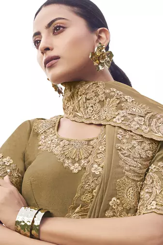 Chiku pure banarasi silk with designer blouse wedding wear saree