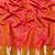 Rani zari woven banarasi silk traditional saree with blouse piece