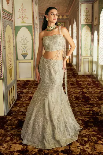 Champagne Gold Embroidered Tissue Mermaid Lehenga Set