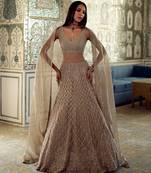 Metallic Champagne Gold Embroidered Tissue Lehenga Set