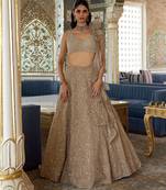 Muted Champagne Gold Embroidered Tissue Lehenga Set