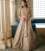 Antique Gold Embroidered Tissue Lehenga Set