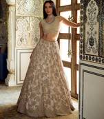 Champagne Gold Embroidered Tissue Lehenga Set