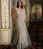 Champagne silver embroidered tissue pre drape saree set