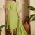 embroidered  round neck kurta & trousers kurta sets