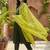 embroidered round neck kurta trousers & dupatta