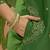 embroidered v-neck kurta & trousers kurta set