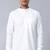 White regular mandarin collar straight kurta