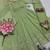 Green silk blend embroidered flared gown set
