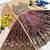 Kids Dark Maroon Embroidered Lehenga Choli with Dupatta