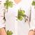 Green floral printed cotton tunic short kurti top for women