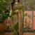 Green position print with zari weaving saree with contrast blouse piece