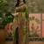 Green position print with zari weaving saree with contrast blouse piece