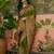 Green position print with zari weaving saree with contrast blouse piece