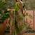 Green position print with zari weaving saree with contrast blouse piece