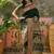 Black position print with zari weaving saree with contrast blouse piece