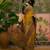 Mustard position print with zari weaving saree with contrast blouse piece