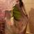 Green viscose silk position print saree with contrast blouse piece