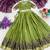 parrot green silk blend plain lehenga choli