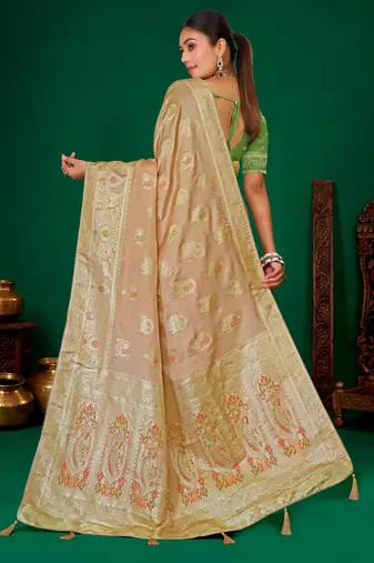 Beige meenakari zari weaving zari tissue silk saree with blouse